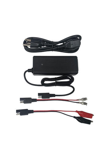 LiFePO4 Lithium Battery 3A Charger
