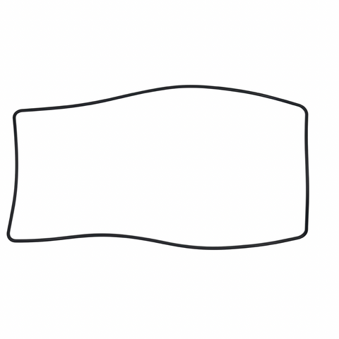 2324604 Minn Kota Steering Housing Gasket (Terrova) (Ulterra)