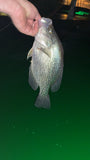 Bright Night Fishing Submersible Green LED (15,000 Lumen)