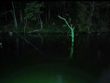 LED Black/Green Fishing Light Kit For Bass Boats