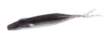 Zoom Winged Fluke