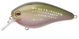 Strike King KVD 1.5 HC Squarebill Silent Crankbait