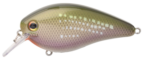 Strike King KVD 1.5 HC Squarebill Silent Crankbait