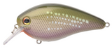 Strike King KVD Elite 2.5 Squarebill Crankbait